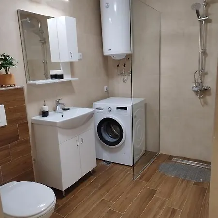 Zlatiborski Braca Mijailovic Apartment Zlatibor