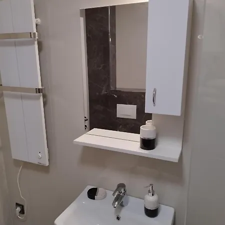 Apartment Zlatiborski Braca Mijailovic Zlatibor